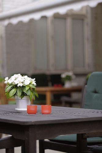 Comfort Hotel Excelsior