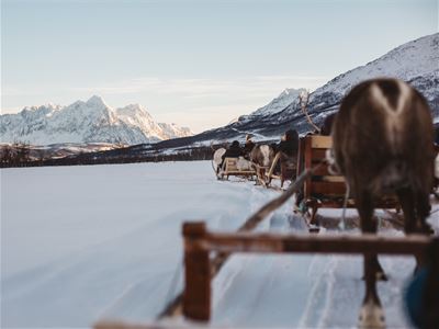 Guests on a sled with mountains in the background