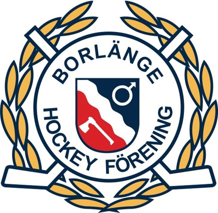 En logotyp för ett hockeylag.
