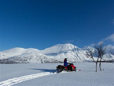 En person kjører snøscooter gjennom et åpent, snødekt landskap med fjell og klar blå himmel.