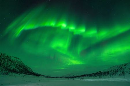 Green Northern Lights illuminate the night sky above the snow-covered landscape.