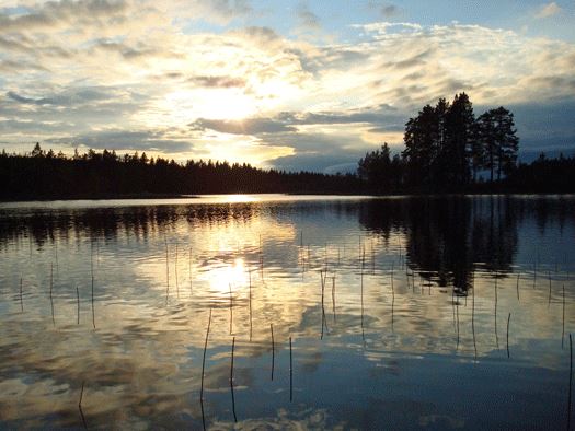 Övre Voxnan naturvårdsområde – Voxnsbruk