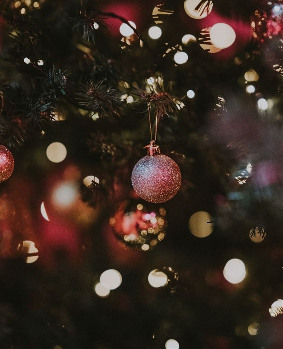 Christmas at Brasseriet image 1