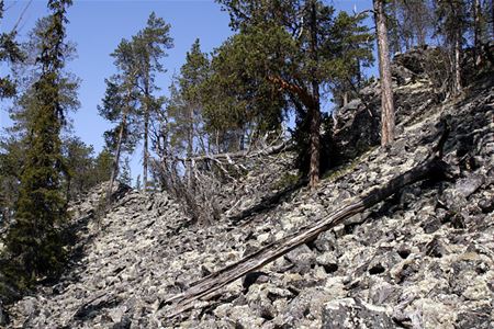 Stenigt och brant berg med några glesa träd