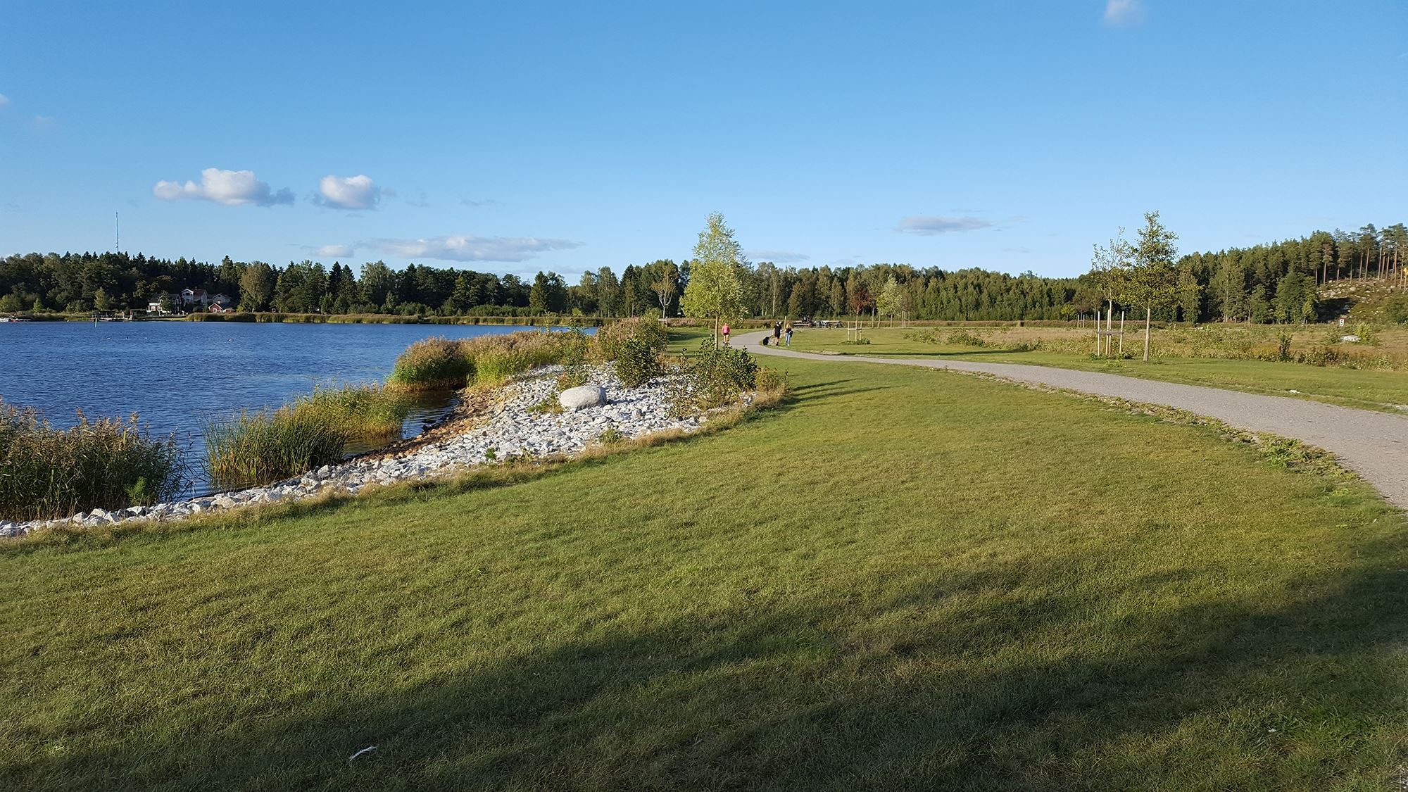Sågverkstrampet