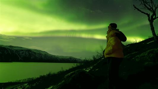 Person looking up at northern lights covered sky