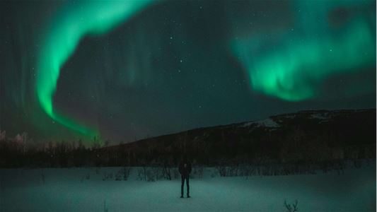 Person looking up at northern lights