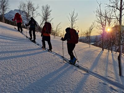En gruppe personer går oppover en snødekt bakke på toppturski, omgitt av trær og varmt vinterlys.