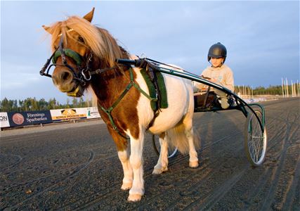 Ponnytrav