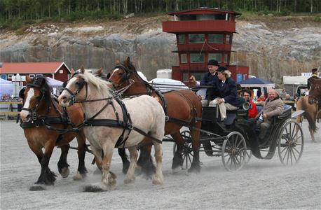 Vagnkörning