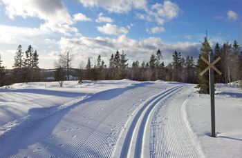 Elljusspår i Nordanstigs kommun – Bergsjö