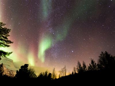 Nordlys og stjernehimmel over skogen og fjellandskapet.