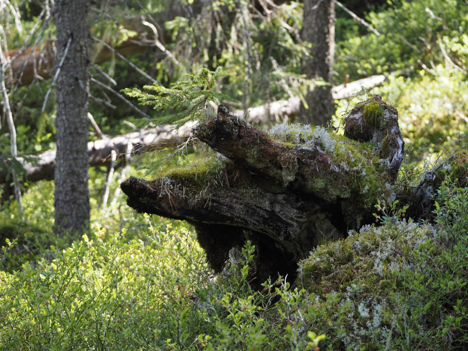 Vändåberget