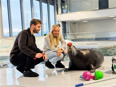Two visitors meeting a seal beside the pool at Polaria in Tromsø, with an opportunity to learn more about seals and Arctic wildlife.