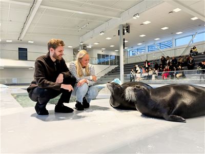 Two visitors sitting beside the seal pool at Polaria in Tromsø, observing seals up close during an activity.