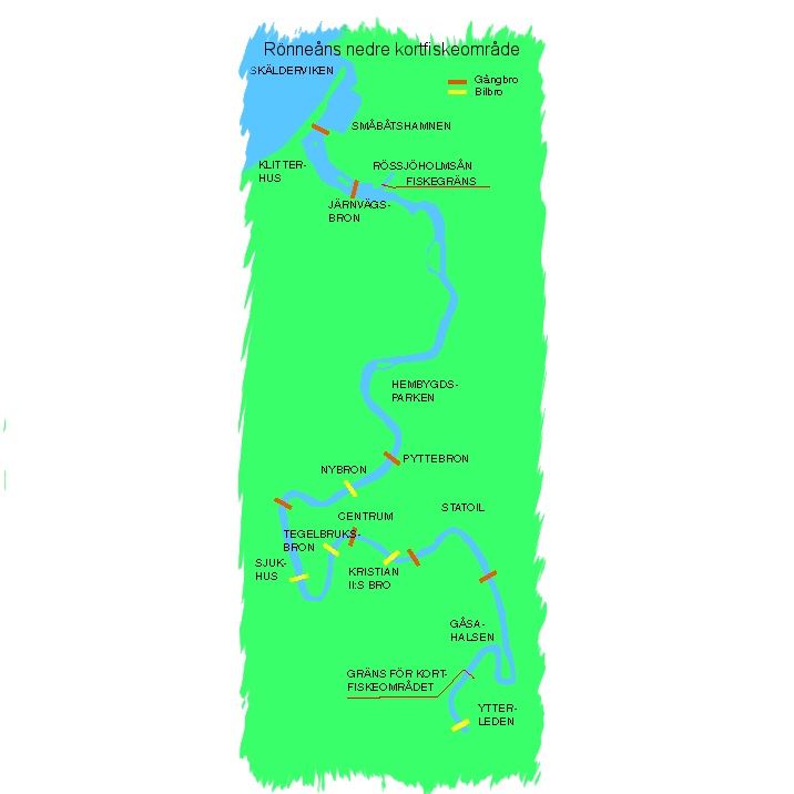 rönne å karta Ängelholm | Fiskekort för nedre delen av Rönneå, Karta, Fiske 