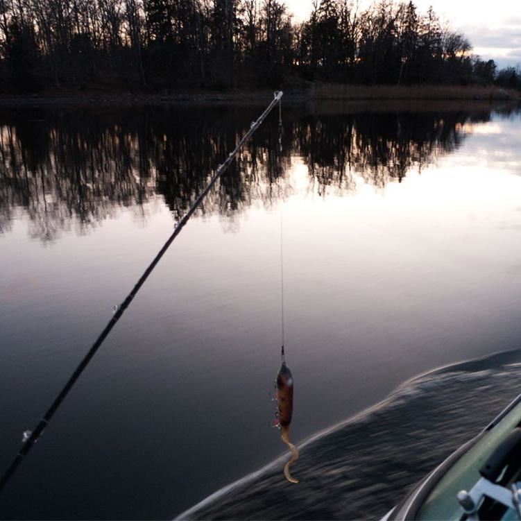 Real Fishing Älgshorn