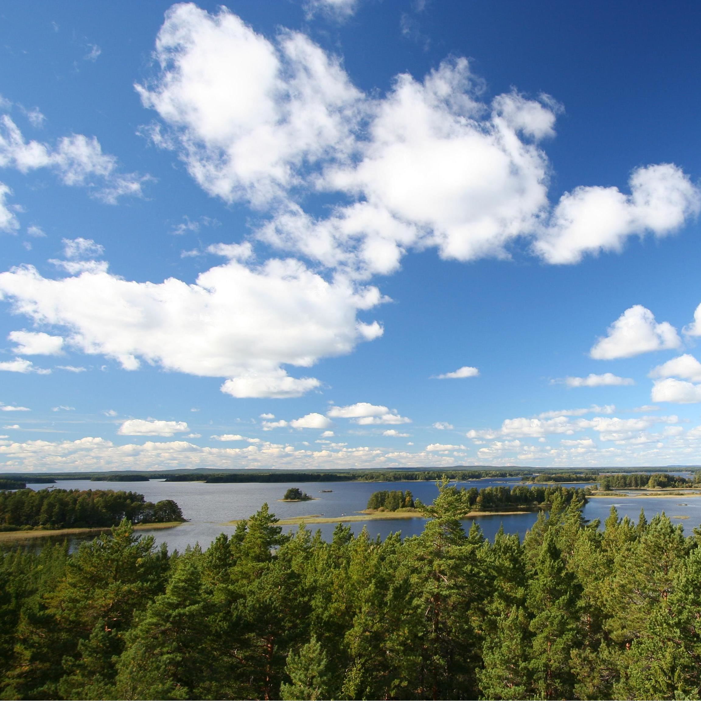 Färnebofjärden's Nationalpark