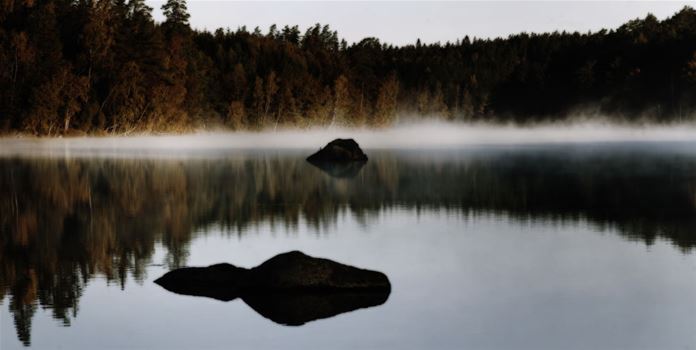 Naturreservat