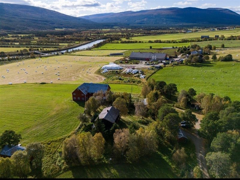 Aerial view of a farmyard surrounded by green fields and forest, with mountains and a blue sky in the background.