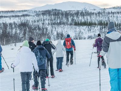 Gjester på trugetur