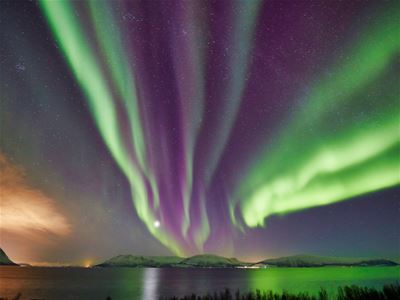 Bright green Northern Lights illuminate the sky above the Arctic winter landscape.
