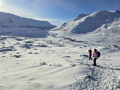 Guests snowshoe through the snowy mountain landscape.