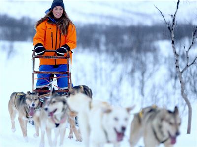 A guest drives their own dog team through the winter landscape in Breivikeidet.