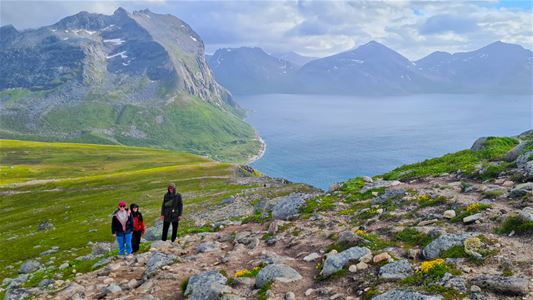 Guests hiking with views of fjords and mountains in the Arctic landscape of Kvaløya.