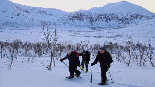 Guests explore the snowy winter landscape of Kvaløya on a private guided snowshoe trip from Tromsø.