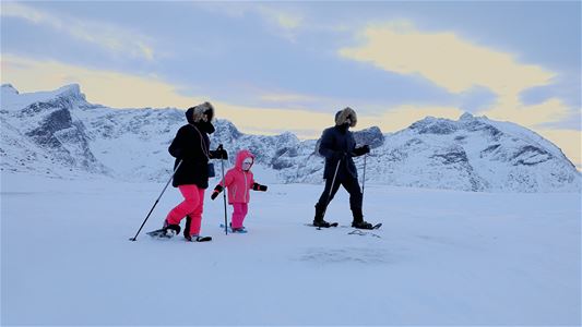 Guests enjoy a guided snowshoe trip surrounded by snow-covered mountains and Arctic nature on Kvaløya.