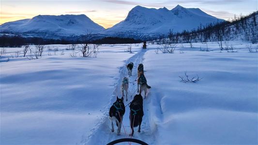 Huskyer trekker en hundeslede gjennom et snødekt landskap med fjell i bakgrunnen.