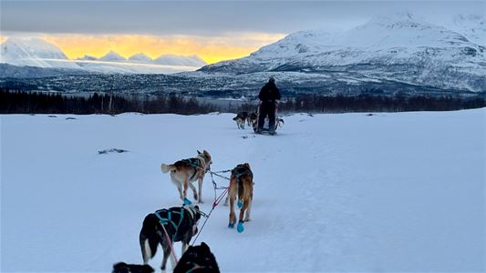 Huskyer trekker en slede gjennom snøen med fjell og vinterhimmel i bakgrunnen.