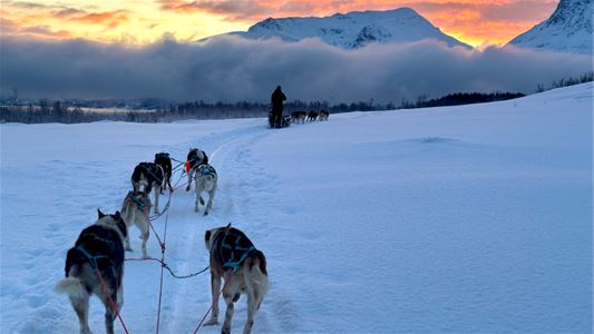 Huskyer trekker en slede gjennom snøen med fjell og vinterhimmel i bakgrunnen.