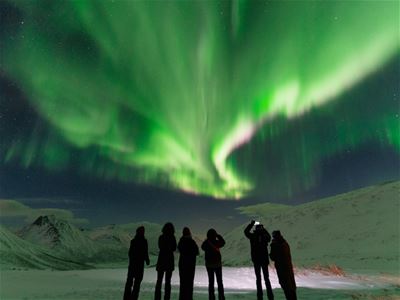 A group of guests standing in a snowy winter landscape beneath bright green Northern Lights across the night sky.