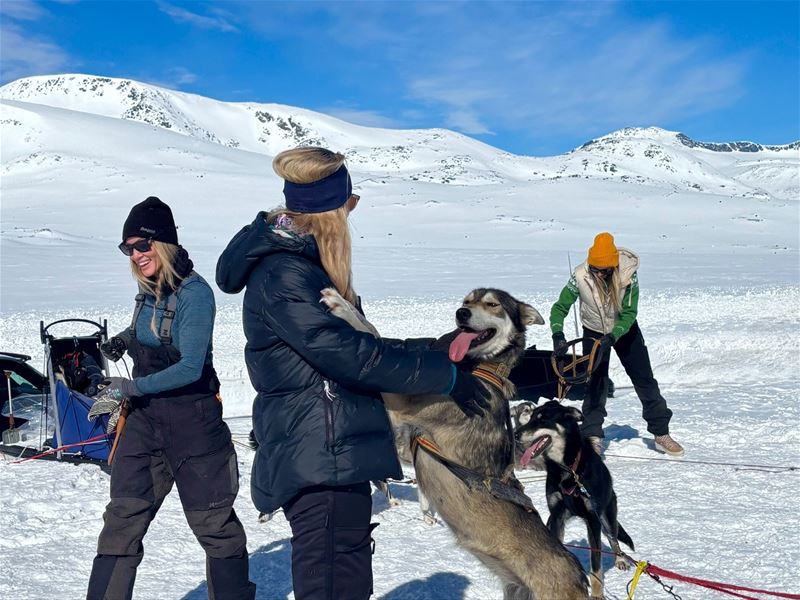 Hundespann med deltakere i snødekt fjellandskap