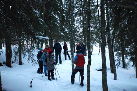Guide and guests in the woods with snowshoes