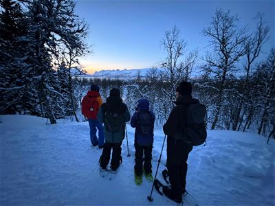 Group of guests looking at the view