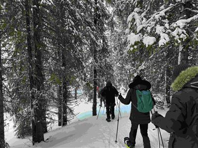 Snowshoe trip in the woods
