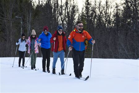 Guide leder en gruppe på langrenn gjennom vinterlandskapet