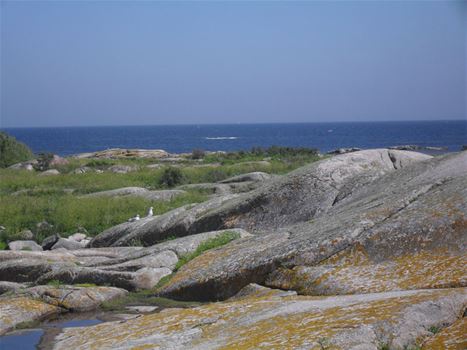 Utklippan gästhamn