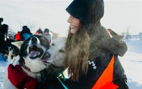 Gjest sammen med to alaskahuskyer under hundesledeturen