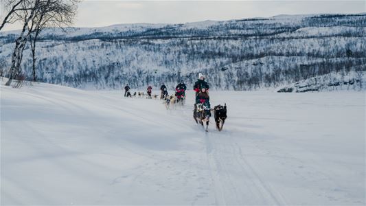 Flere hundespann på tur gjennom det åpne vinterlandskapet i Skibotndalen