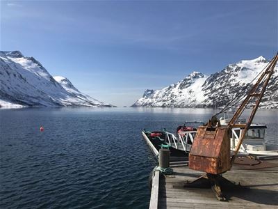 View of a fjord and the surrounding mountains in winter
