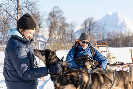 Guests spend time with the huskies at the dog yard during the experience.