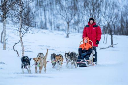 Guests dog sledding through the snowy winter landscape at Camp Tamok