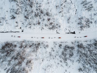 Dog sledding through the snow-covered Arctic landscape at Tamokhuset