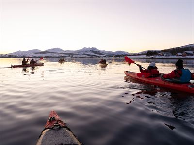 Gruppe på guidet kajakktur i det arktiske fjordlandskapet rundt Sommarøy.