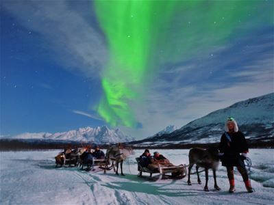 Reinsdyr og sleder i vinterlandskap under nordlyset ved Tromsø Lapland nær Tromsø.
