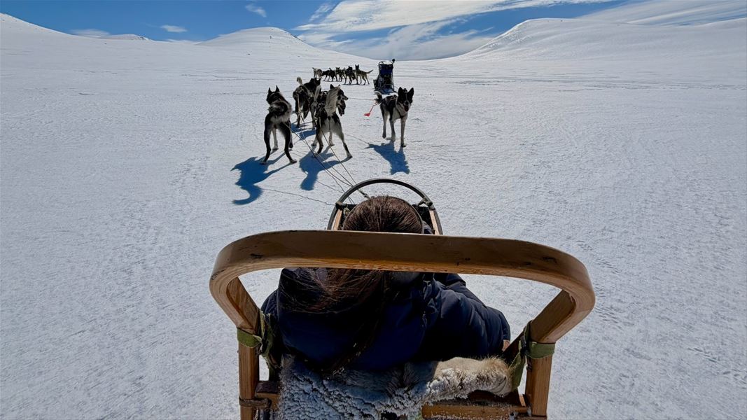 Hundespann på vintertur i åpent fjellandskap.